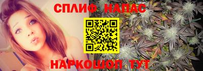 наркотики Будённовск