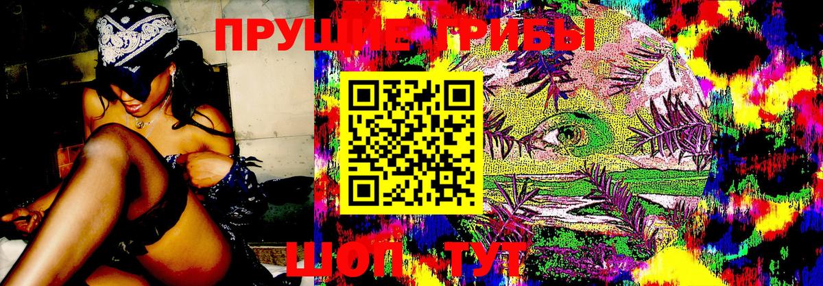 Галлюциногенные грибы Magic Shrooms  сколько стоит  Реутов  Вход с VPN 